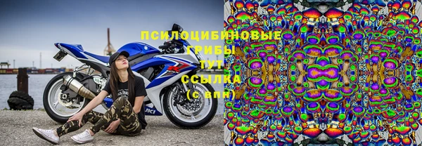 тгк Аркадак