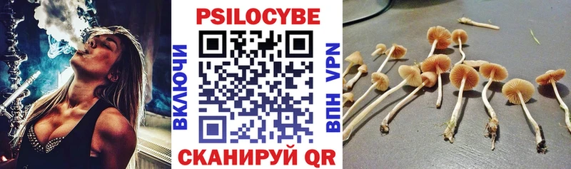 Галлюциногенные грибы GOLDEN TEACHER  Луховицы 