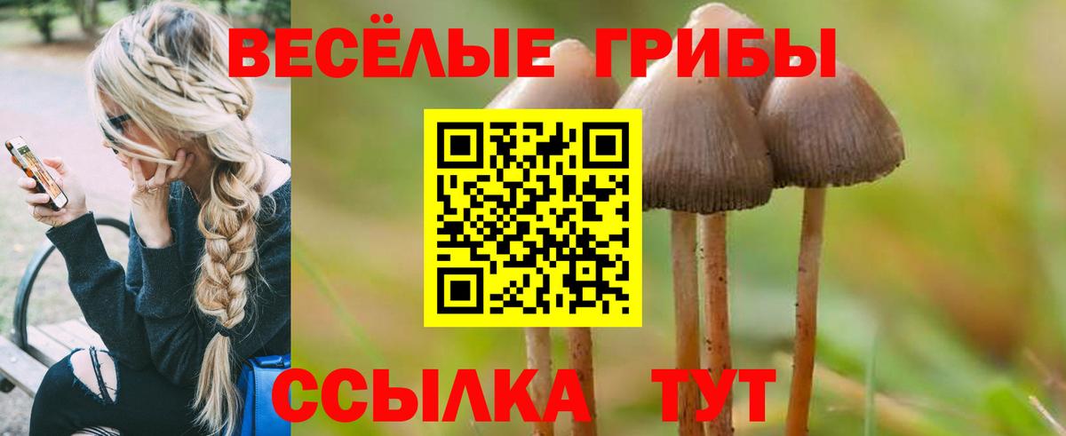 как найти закладки  Галлюциногенные грибы Psilocybe  Вход с VPN  Луховицы 